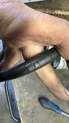 IMG_3238.jpeg